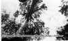 fittofight00440ftverticalrope_small.jpg