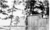 fittofight005wall_small.jpg