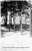 fittofight006chinups_small.jpg