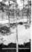 fittofight00760fthorizontalrope_small.jpg