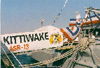 kittiwake02_small.gif (13806 bytes)