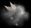 angel-wings.jpg