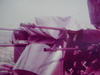 3dsc00210.jpg