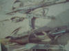 3dsc00214.jpg