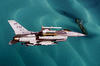 2fighters_f16_0039-01.jpg