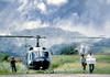 2helos_uh1_0005.jpg