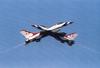 2t-bird.jpg