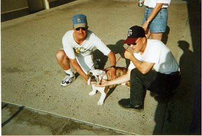 5046normal_dog