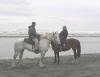 2horsepose.jpg 2horsepose.jpg