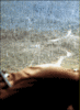 8036img2.gif 8036img2.gif