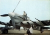 081_-_hawker_typhoon_2.jpg