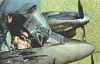 166_-_fw_187.jpg