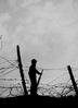 2ww239_thumb.jpg 2ww239_thumb.jpg