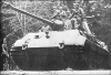 195_-_tiger2_in_action.jpg 195_-_tiger2_in_action.jpg