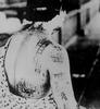 2ww2164_thumb.jpg 2ww2164_thumb.jpg