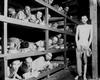 2ww2178_thumb.jpg