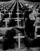 2ww2192_thumb.jpg