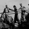 2ww2173_thumb.jpg 2ww2173_thumb.jpg