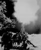 2ww2152_thumb.jpg 2ww2152_thumb.jpg
