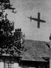 2ww289_thumb.jpg
