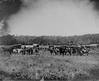 2civil_war_037.jpg 2civil_war_037.jpg