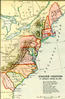 2colonies_1763.jpg