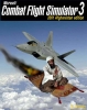 2osama_flightsimulator.jpg