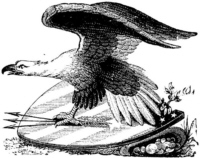 2eagle7