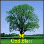 2treesup3