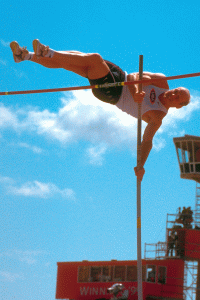 251-steele-decathpolebvlt