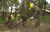 2wildfire.gif 2wildfire.gif