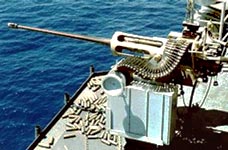 2gun25mm_large