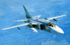 2su24_1.jpg