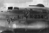 Patches.jpg Patches.jpg