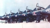 Warthogs.jpg Warthogs.jpg