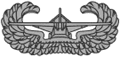 2insignia_army_badges_glider