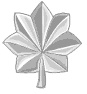 2insignia_army_officers_o5