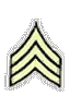 2insignia_army_enlisted_e5.gif
