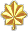 2insignia_army_officers_o4.gif