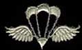 2insignia_navy_ratings_aircrew