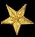 2insignia_navy_specialist_line