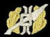 2insignia_navy_specialist_law.jpg