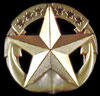 2insignia_navy_badges_command.jpg