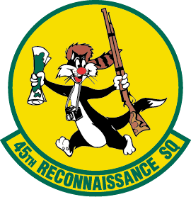245th_reconnaissance_squadron