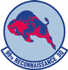 299th_reconnaissance_squadron.gif