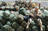 2030402_war_12.jpg