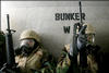 221troops_slide09.jpg