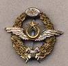 2pilotbadge.jpg 2pilotbadge.jpg
