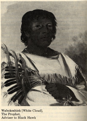 2mb-wabokeshiek_1_