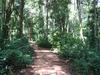 31101_0200.jpg 31101_0200.jpg